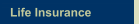 Life Insurance
