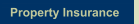 Property Insurance