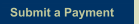 Submit a Payment